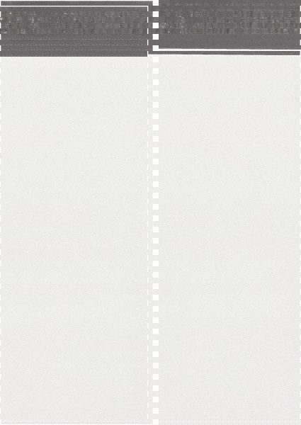 Courier Mailing Envelope: 13